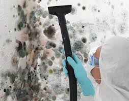 Best Industrial Mold Remediation  in Fort Bliss, TX